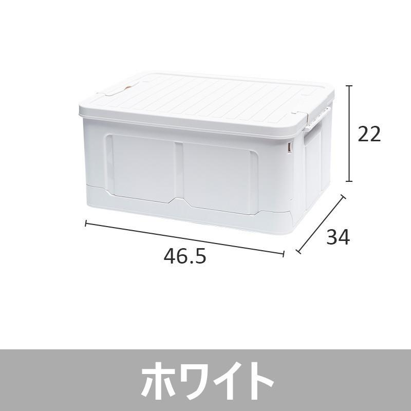 収納ボックス フタ付き 折りたたみ プラスチック おしゃれ 衣替え 夏物