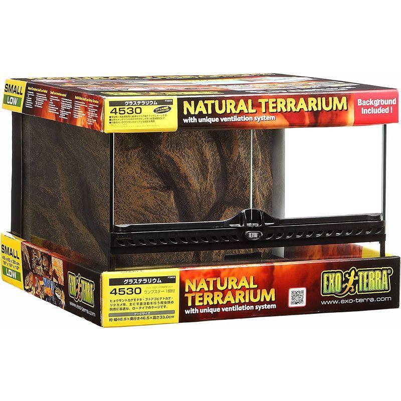 エキゾテラ グラステラリウム9045【引き取り限定】