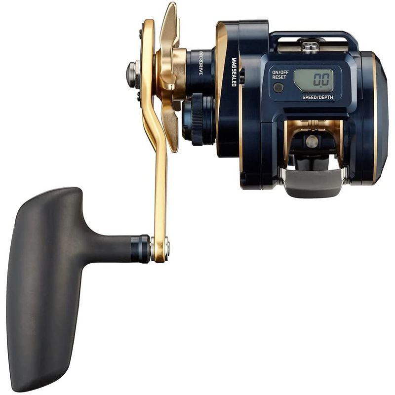 公式ショップから探す ダイワ(DAIWA) 21 ソルティガIC 300HL-SJ www