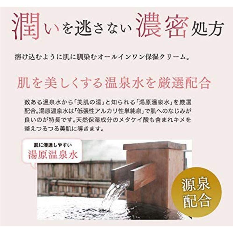ナチュレルSPゲルクリームシリーズ エコツインセット(550g×2本入り) エコツインセット 550g×2本入り HOV1001917440(9207円)