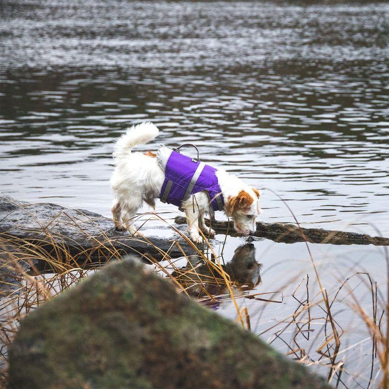 フルッタ (Hurtta) Life Savior パープル XL サイズ サイズ Hurtta Life Savior パープル XL