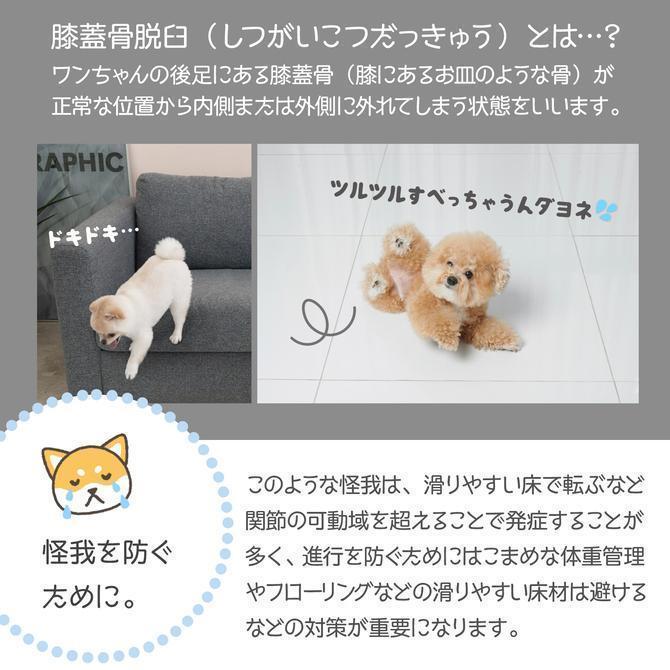 ペットマット 防水 ペット マット 床暖房 対応 抗菌 犬 猫 おしゃれ 大きめ ズレない ドッグマット フロアマット 防水 Dogzari ecf02 防水 ペットマット ペット マット 床暖房 対応 抗菌 おしゃれ 大きめ ズレない ドッグマット フロアマット Dogzari ecf02 D1208675956(11111円)