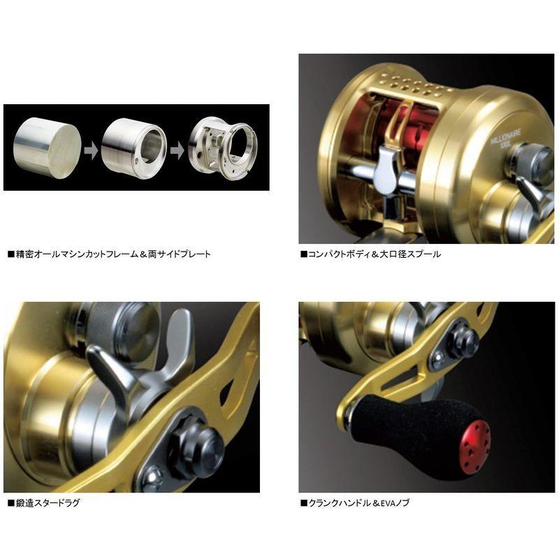 ダイワ(DAIWA) 両軸リール 14 ミリオネア 100 (2014モデル) DAIWA 両軸リール ミリオネア 2014モデル