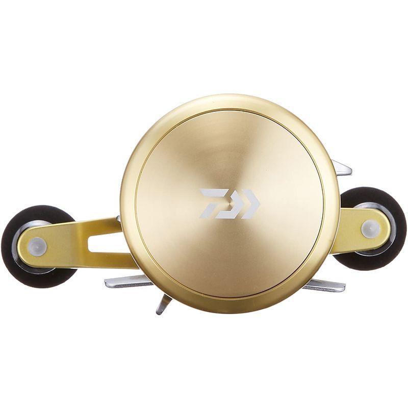 ダイワ(DAIWA) 両軸リール 14 ミリオネア 100 (2014モデル) DAIWA 両軸リール ミリオネア 2014モデル