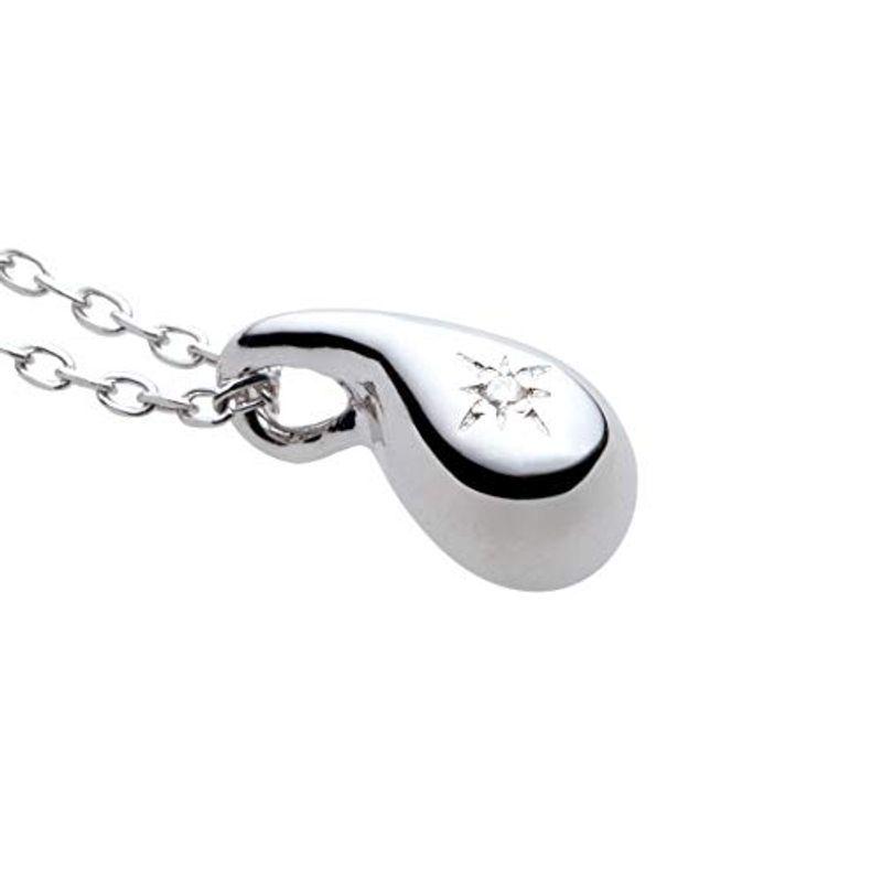 ソウルジュエリー 遺骨ペンダント シルバー ドロップ 40cm SV925 ダイヤモンド 手元供養 遺骨入れ 遺骨ネックレス