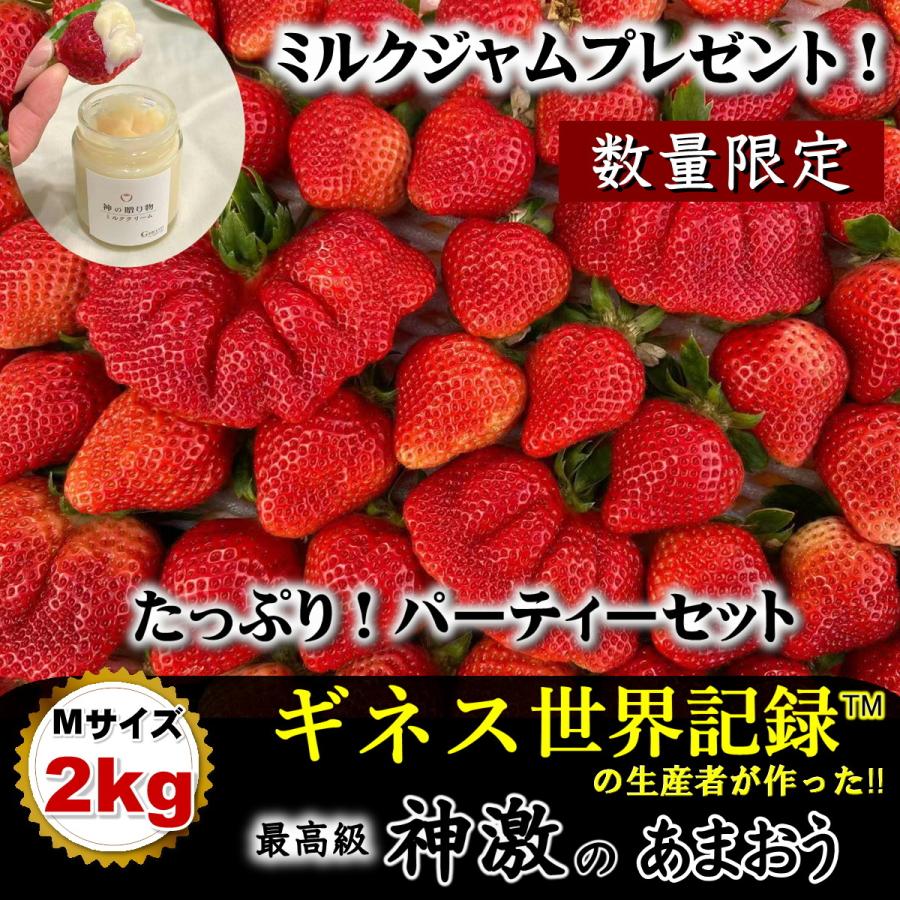 新品本物 いちご イチゴ 苺 お礼 果物 送料無料 パーティー 高級 フルーツ 神激のあまおう お祝 贈り物 法事 食事会 集まり事 ギフト 史上最も激安 Blog Lonolife Com