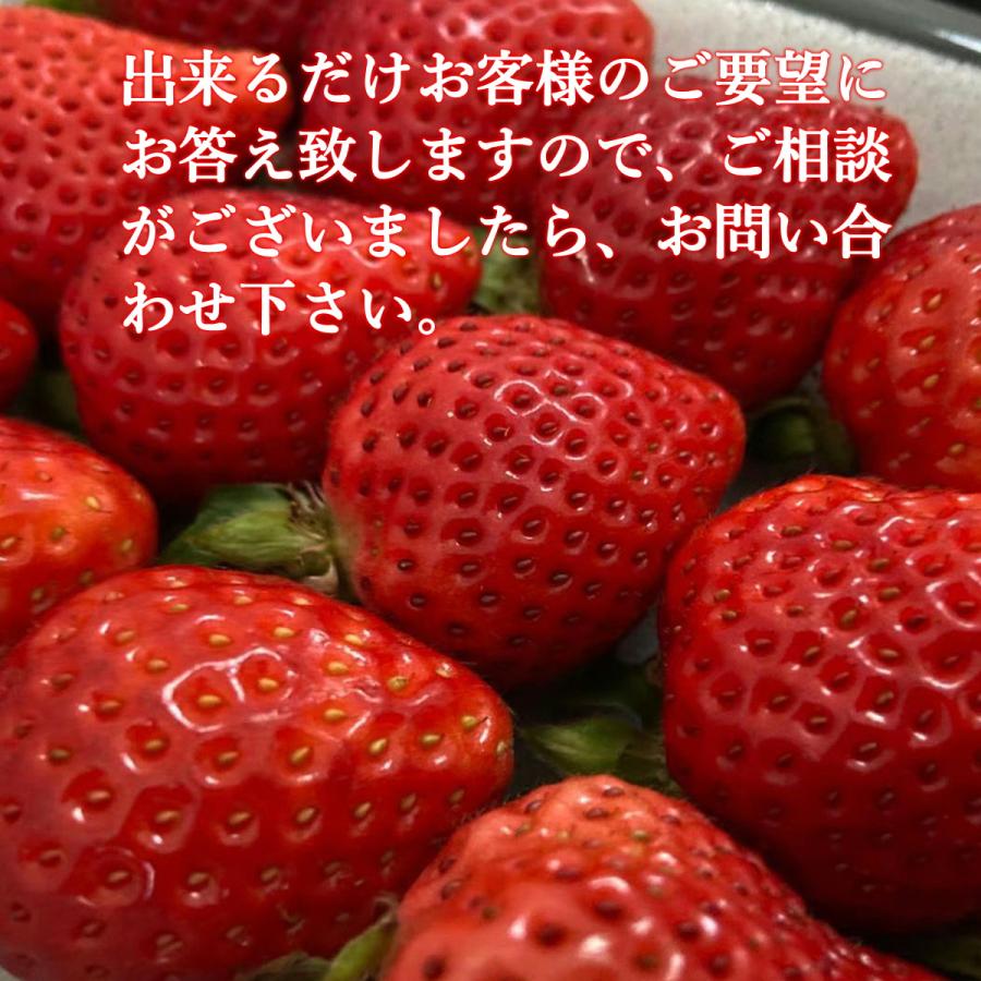 いちご 苺 福岡 プレゼント ギフト おすすめ フルーツ イチゴ 苺 高級 神激のあまおう 送料無料 人気  3箱 6パック｜berrygod｜17