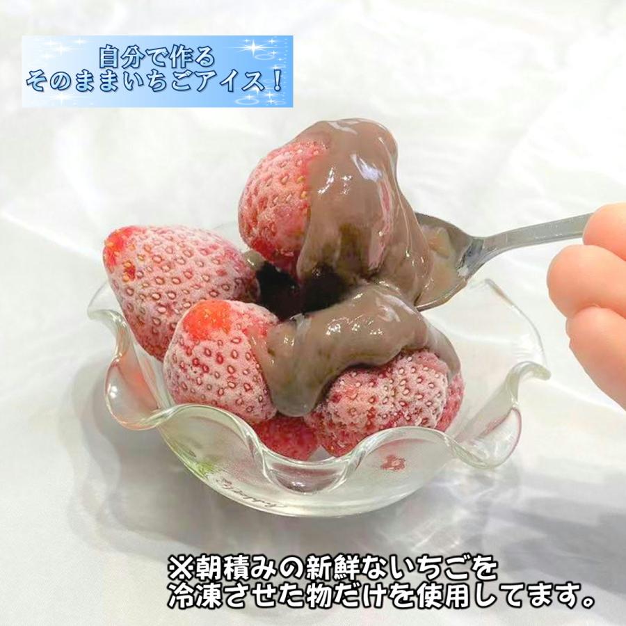 いちご アイスクリーム チョコ ギフト お取り寄せ プレゼント 冷凍 フローズン おすすめ 高級 人気 1箱 2パック Chm Fr Berry God 通販 Yahoo ショッピング