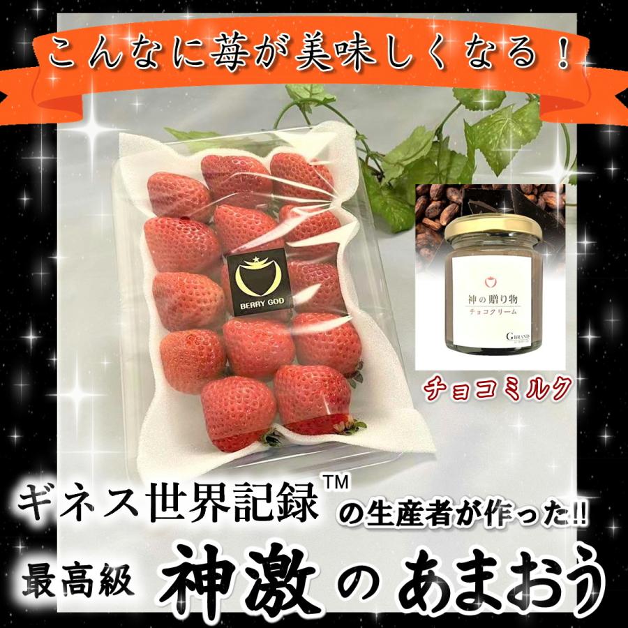 いちご 苺 プレゼント ギフト おすすめ 高級 神激のあまおう フルーツ 送料無料 イチゴ 苺 いちごチョコ1パック1個 Cyoko1 Berry God 通販 Yahoo ショッピング