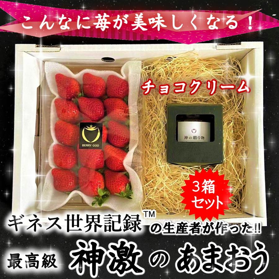 超美品の いちごチョコ３パック3個 いちご 苺 神激のあまおう ギフト チョコ 送料無料 おすすめ 高級 イチゴ フルーツ プレゼント いちご