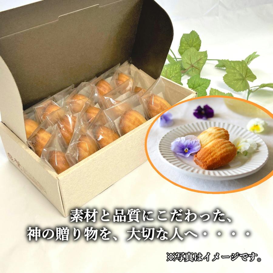 北海道産たっぷりバターマドレーヌ スイーツ ギフト 洋菓子 おすすめ お菓子 高級 手作り プレゼント 食べ物 神の贈り物 15個 Md Berry God 通販 Yahoo ショッピング