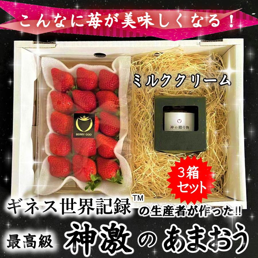 海外輸入 3パック3個 いちご 苺 神激のあまおう ギフト 送料無料 高級 おすすめ 練乳 イチゴ フルーツ プレゼント いちご