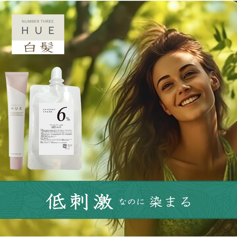 no3（NUMBER THREE） 白髪染め ナンバースリー ヒュウ 80g 1本と 100ml