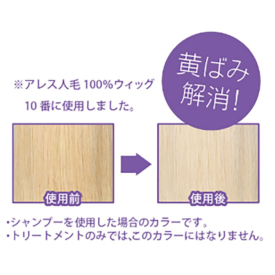 アレスプランニング カラートリートメント ヘアカラー アレス ムラサキ