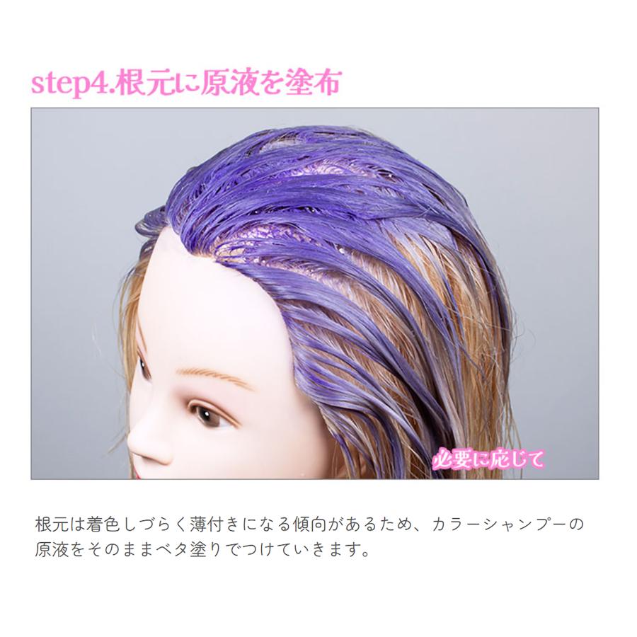 クリップジョイント エンシェールズ カラーシャンプー 5色から選べます