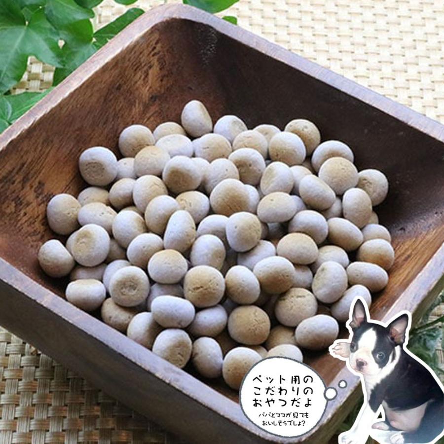 犬 おやつ 無添加 国産 ブルーベリーボーロ 70g ワンダフルキッチン ディアンジュ 抗酸化作用 保存料不使用 着色料不使用 香料不使用 手作り 人間用食材 Diange Blueberry 70 ベリーズコスメ Yahoo 店 通販 Yahoo ショッピング