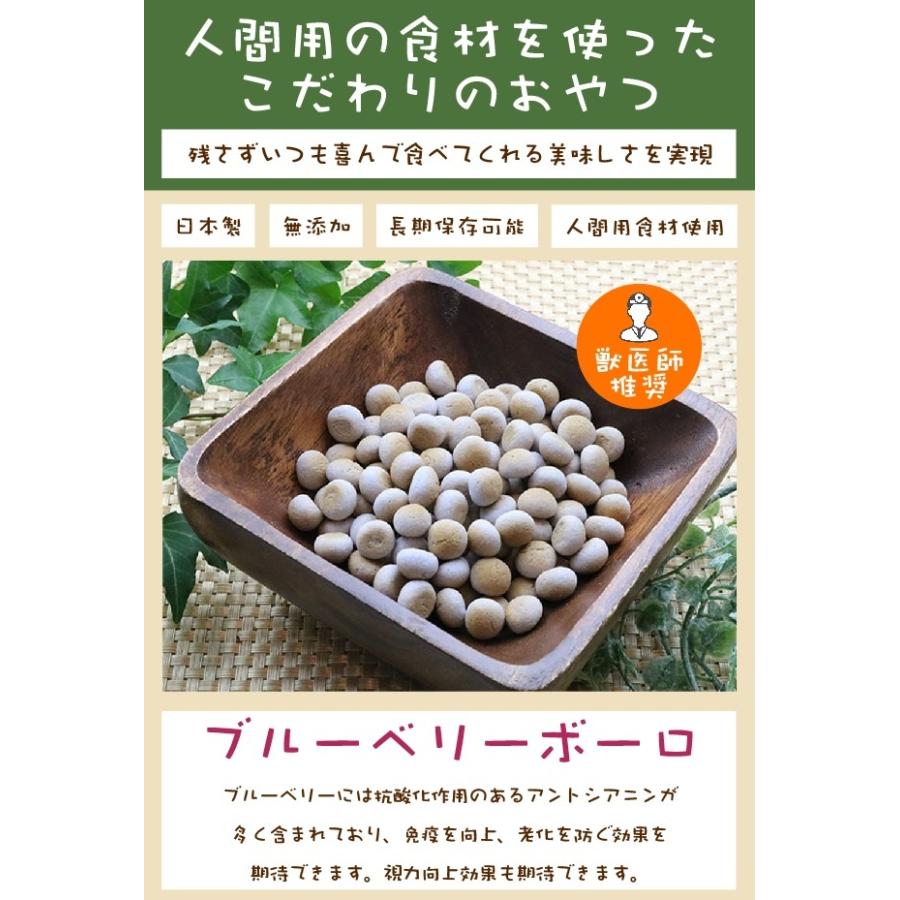 犬 おやつ 無添加 国産 ブルーベリーボーロ 70g ワンダフルキッチン ディアンジュ 抗酸化作用 保存料不使用 着色料不使用 香料不使用 手作り 人間用食材 Diange Blueberry 70 ベリーズコスメ Yahoo 店 通販 Yahoo ショッピング