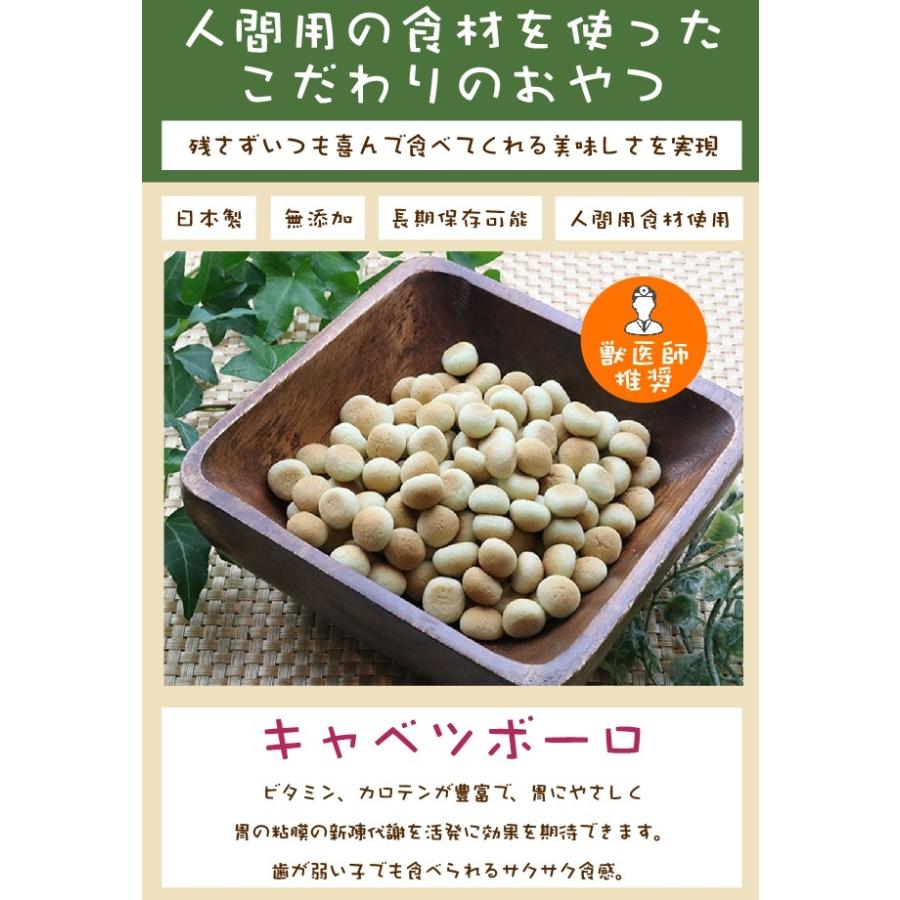 犬 おやつ 無添加 国産 キャベツボーロ 70g ワンダフルキッチン ディアンジュ 抗酸化作用 保存料不使用 着色料不使用 香料不使用 手作り 人間用食材 Diange Cabbage 70 ベリーズコスメ Yahoo 店 通販 Yahoo ショッピング