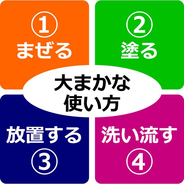 資生堂 ディアニスト エクラ 白髪染め　オキシ 100ml セット 女性用 カラーリング剤 白髪染め サロン専用 ヘアカラー剤 業務用｜berryscosme｜03