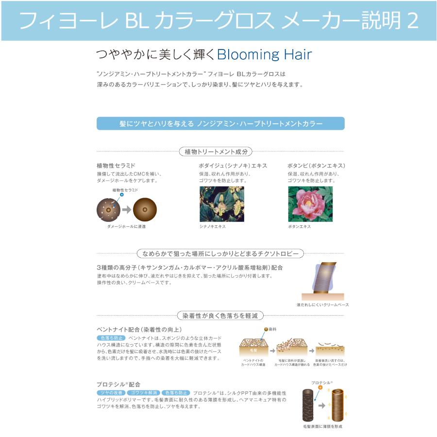FIOLE（フィヨーレ） ヘアマニキュア 白髪用 ノン ジアミン 白髪染め