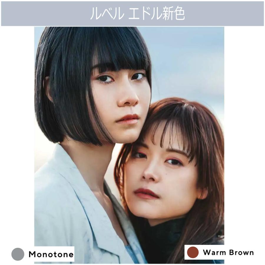 ルベル エドルカラー P・R 72本セット edol ルベル エドル 80g 4本セット ブラウン ミルクティー