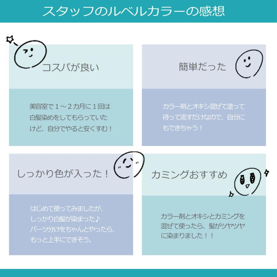 LebeL（ルベル） 白髪染め マテリアG 120g 1本 ブラウン ベージュ