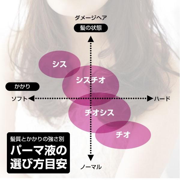 パーマ液 メロス デセオ リッチカール Tg H 1剤と2剤のセット 各400ml Meroseseorichcurltgh ベリーズコスメ Yahoo 店 通販 Yahoo ショッピング