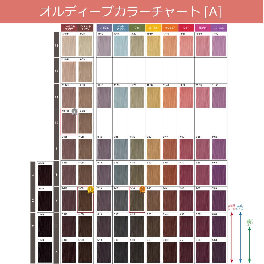 ORDEVE（オルディーブ） ミルボン ベーシックトーン 1本 1000mlオキシ