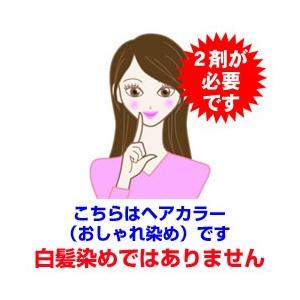 ORDEVE（オルディーブ） ヘアカラー カラーリング ミルボン ベーシック