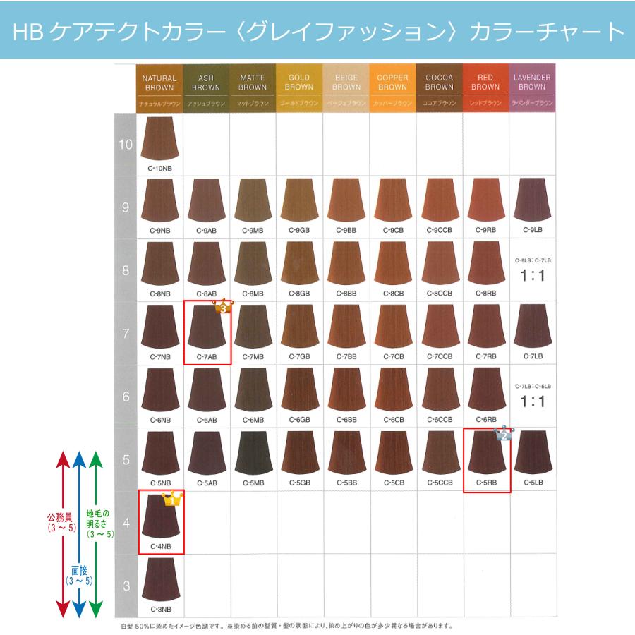 CARETECT HB 白髪染め ナプラ ケアテクトカラー 1本 ナチュラル