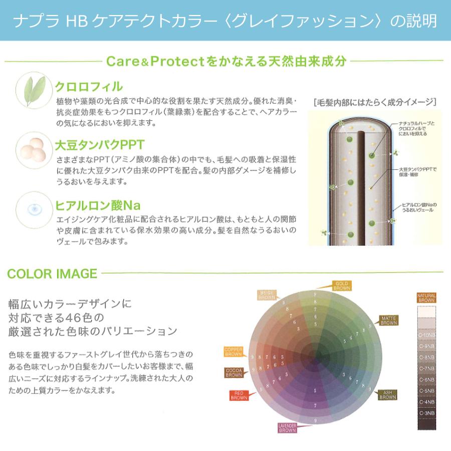 CARETECT HB 白髪染め ナプラ ケアテクトカラー 4本セット ナチュラル