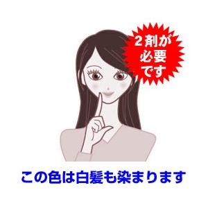 ACCESS FREE ナプラ アクセスフリー 女性用 カラーリング剤 白髪染め