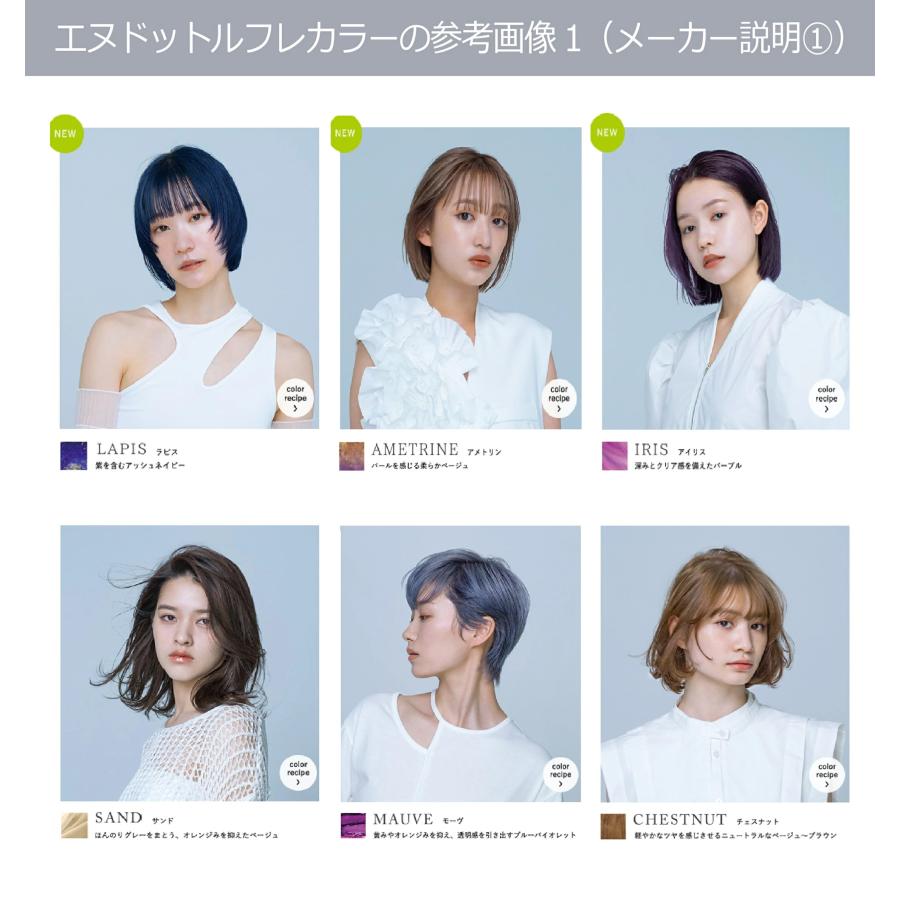 N. エヌドットカラー ルフレ オキシ 100ml セット 100mlオキシ