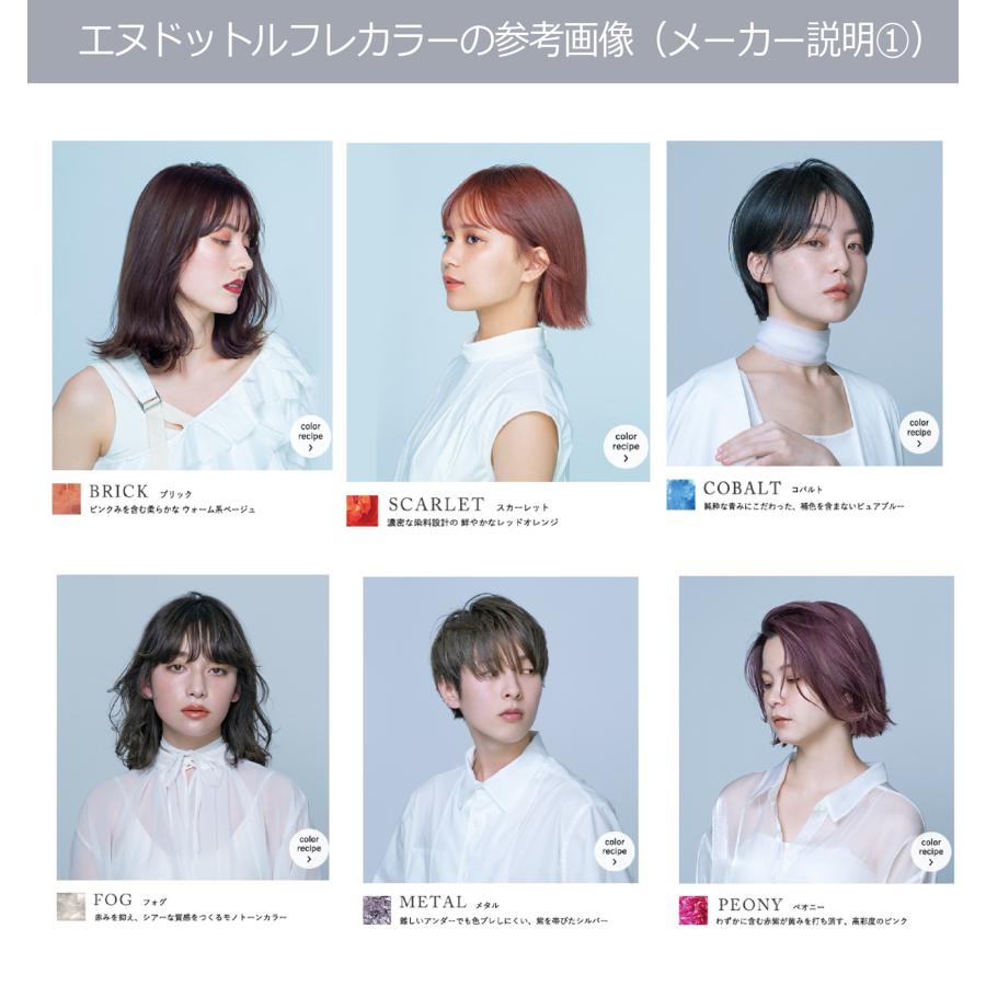 N. エヌドットカラー ルフレ オキシ 100ml セット 100mlオキシ