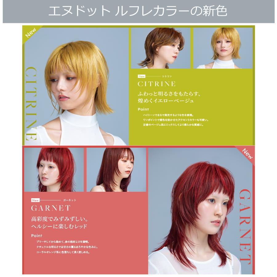 N. エヌドットカラー ルフレ オキシ 1リットル セット グレージュ