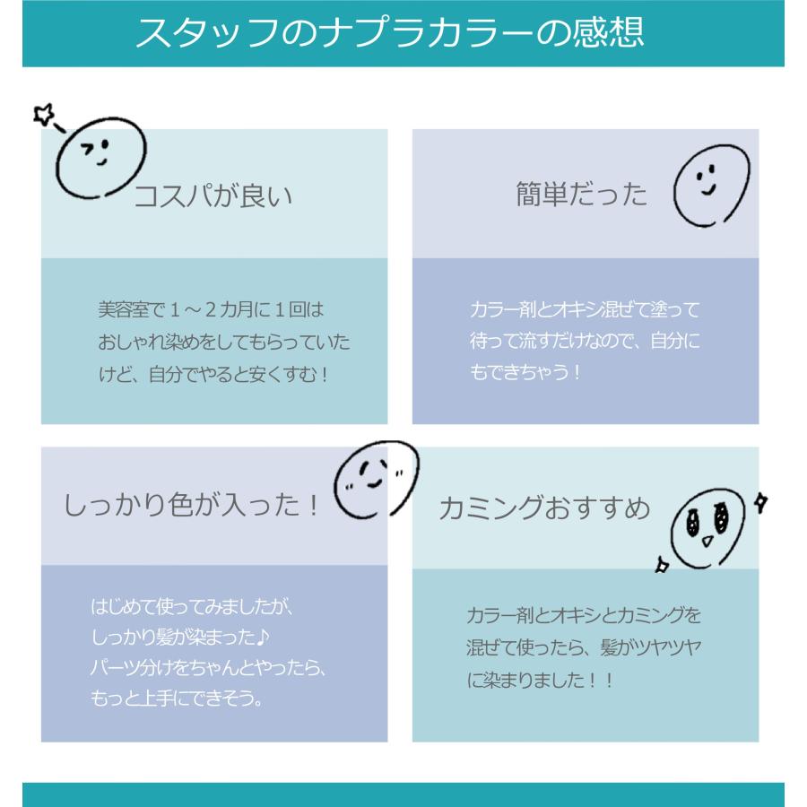 N. エヌドットカラー 白髪染め 1本と1000mlセット グレイカラー