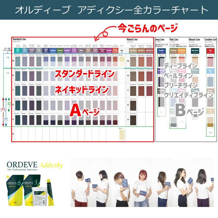 ORDEVE（オルディーブ） [ Aページ ] [ メール便 新色追加 ] ミルボン