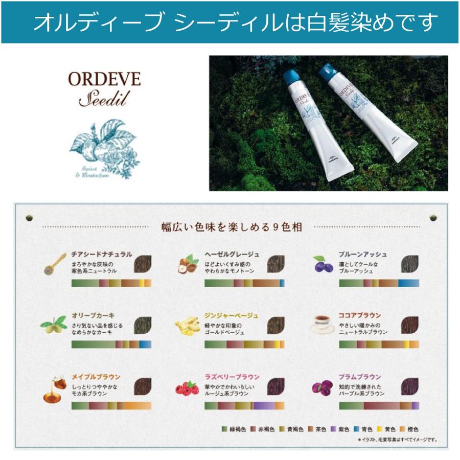 ORDEVE ミルボン オルディーブ シーディル 80g オキシ 100ml ORDEVE ミルボン オルディーブ シーディル 80g オキシ 100ml