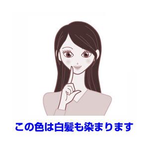 ORDEVE（オルディーブ） 白髪染め ヘアカラー ミルボン シーディル 80g