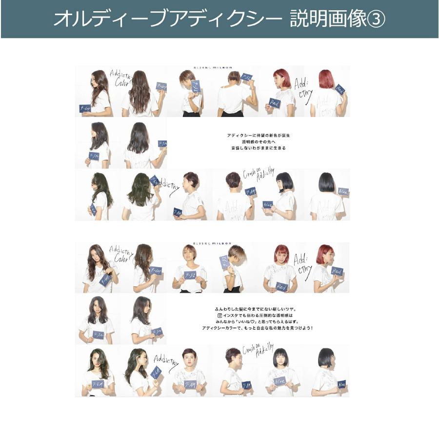 ORDEVE ミルボン オルディーブアディクシー オキシ 1リットル ORDEVE ミルボン オルディーブアディクシー オキシ 1リットル