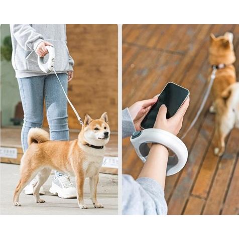犬猫散歩用LEDライト内蔵伸縮リード3m　USB充電式｜berryscosme｜02
