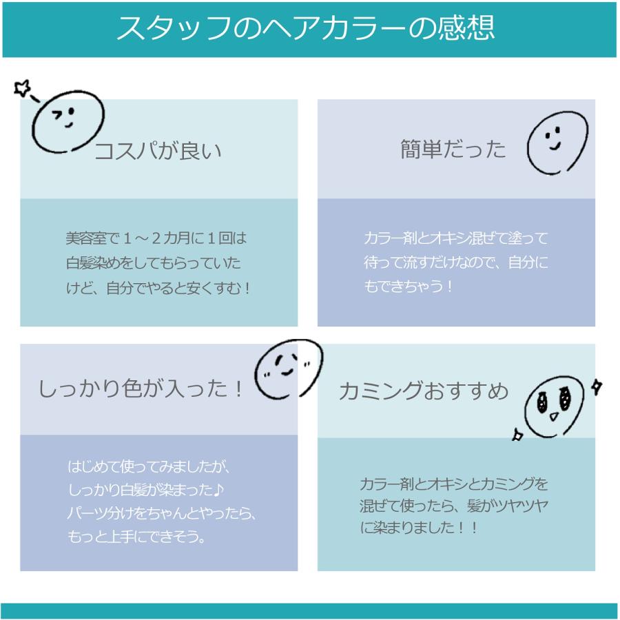 資生堂プリミエンスカラー　80本セット SHISEIDO PROFESSIONAL 資生堂 プリミエンス 80g 1本と 1Lオキシ