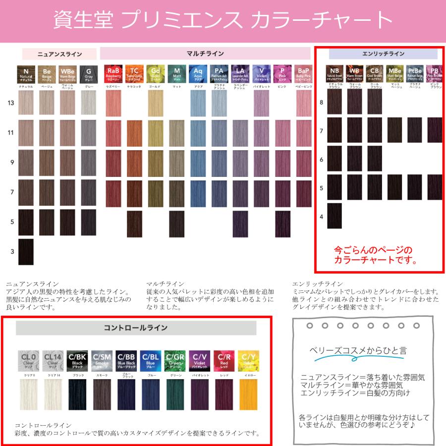 SHISEIDO PROFESSIONAL（資生堂プロフェッショナル） 白髪染め 資生堂