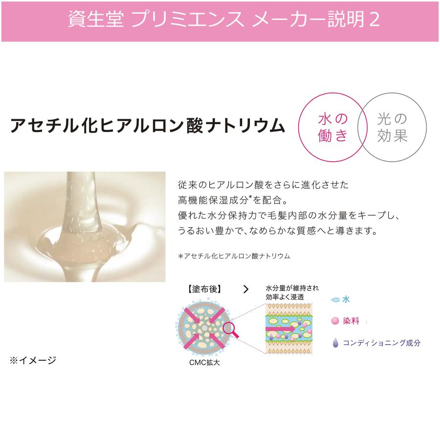 資生堂　プリミエンスエンリッチ　52本セット 資生堂プロフェッショナル(SHISEIDO PROFESSIONAL