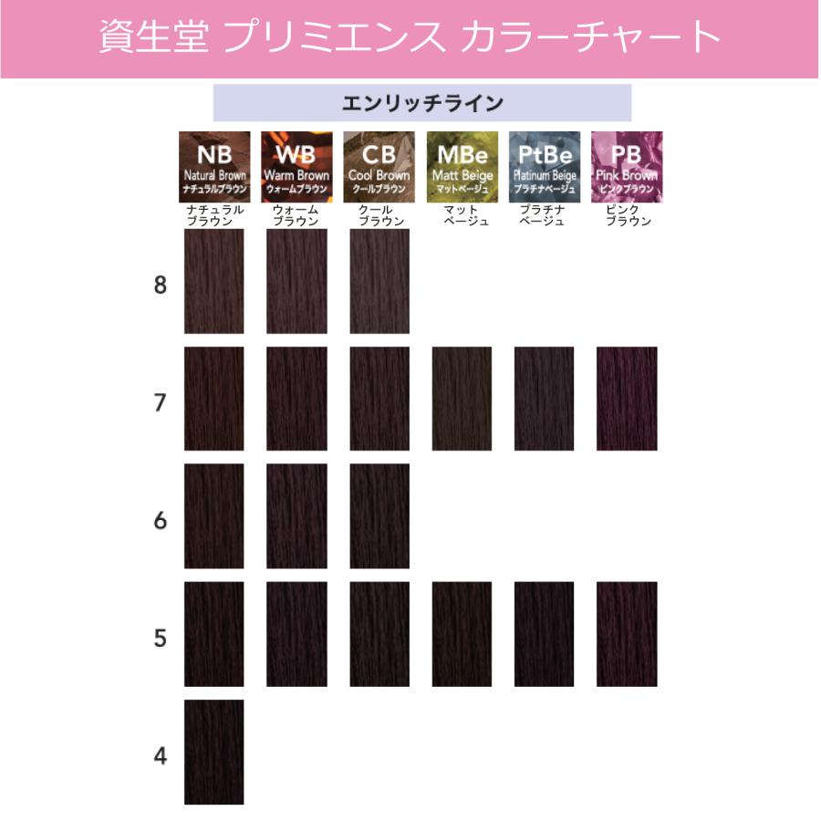 SHISEIDO PROFESSIONAL（資生堂プロフェッショナル） 白髪染め 資生堂