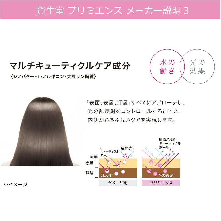SHISEIDO PROFESSIONAL（資生堂プロフェッショナル） 白髪染め 資生堂
