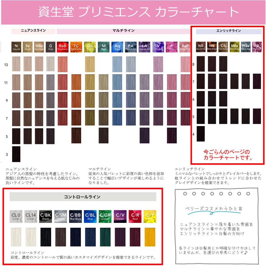 SHISEIDO PROFESSIONAL 資生堂 プリミエンス エンリッチライン SHISEIDO PROFESSIONAL 資生堂 プリミエンス エンリッチライン