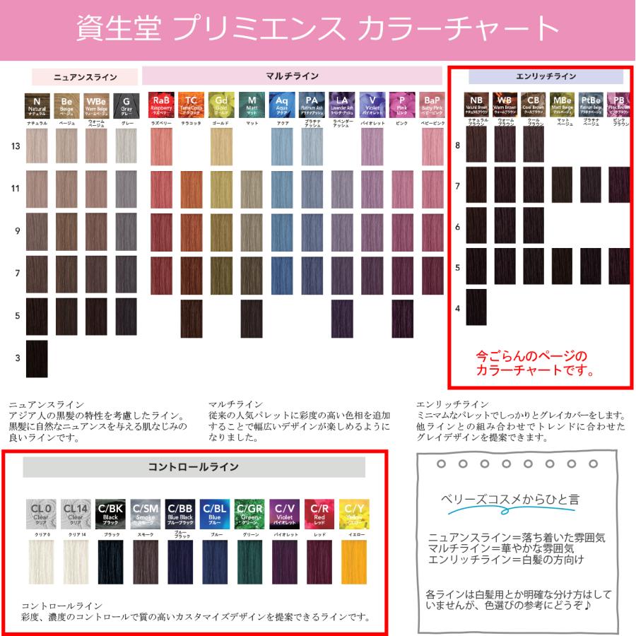 SHISEIDO PROFESSIONAL（資生堂プロフェッショナル） 白髪染め 資生堂