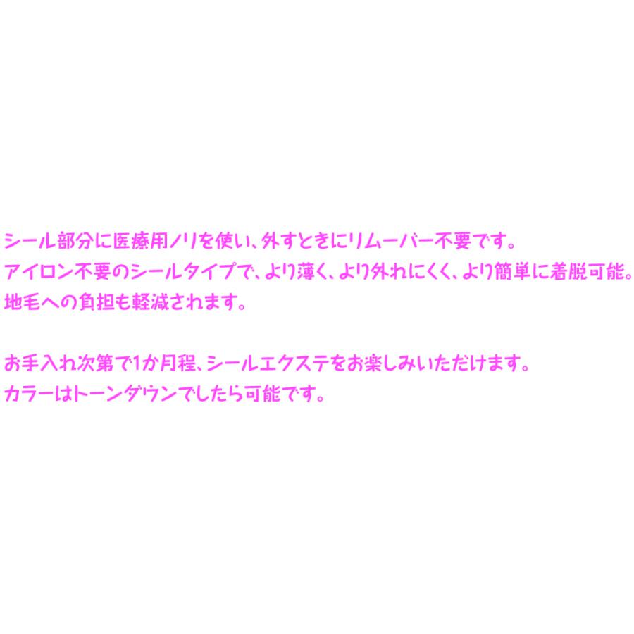 アッシュ ピンク P-28 シール エクステ 人毛 ロング ヘアエクステ 長さ