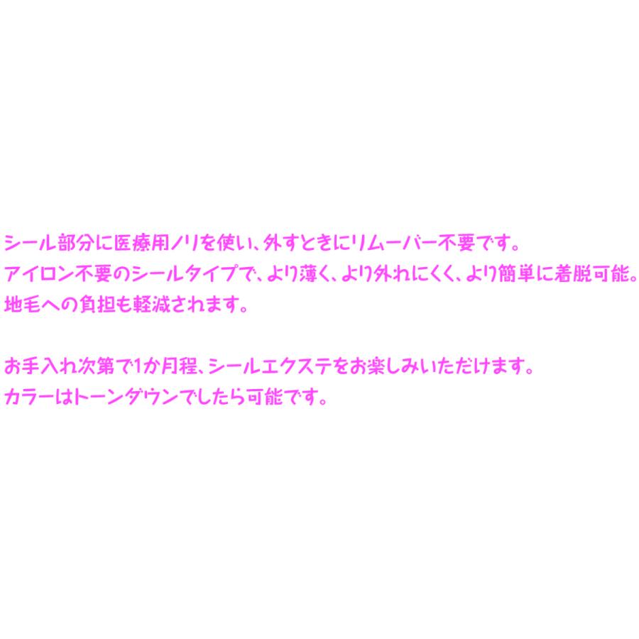 ライトパープル 紫 シール エクステ 人毛 ロング ヘアエクステ カラー
